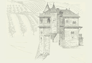 Vinhas Região Lisboa Castelo